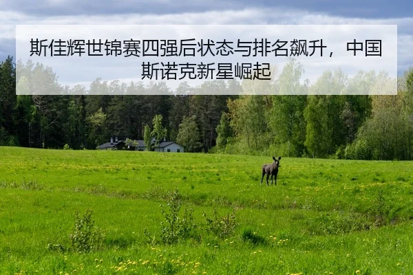 斯佳辉世锦赛四强后状态与排名飙升，中国斯诺克新星崛起