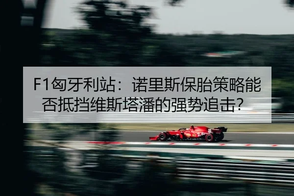 xiong-ya-li-zhan-nuo-li-si-bao-tai-ce-lve-neng-fou-di-dang-wei-si-ta-pan-de-qiang-shi-zhui-ji-2-423.jpg