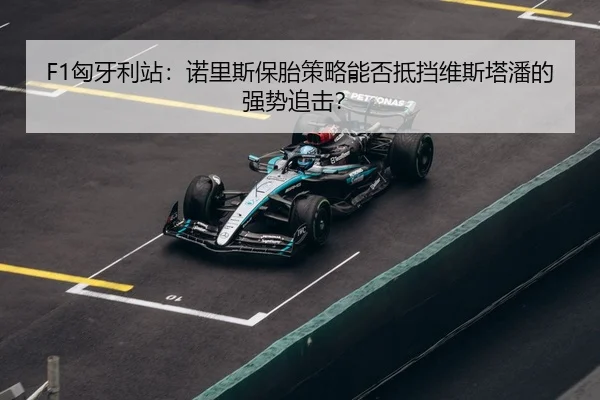 xiong-ya-li-zhan-nuo-li-si-bao-tai-ce-lve-neng-fou-di-dang-wei-si-ta-pan-de-qiang-shi-zhui-ji-3-629.jpg