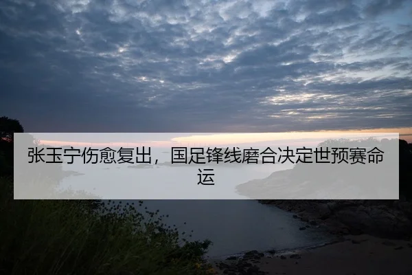 张玉宁伤愈复出，国足锋线磨合决定世预赛命运