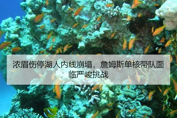 nong-mei-shang-ting-hu-ren-nei-xian-beng-ta-zhan-mu-si-dan-he-dai-dui-mian-lin-yan-jun-tiao-zhan-3-549.jpg