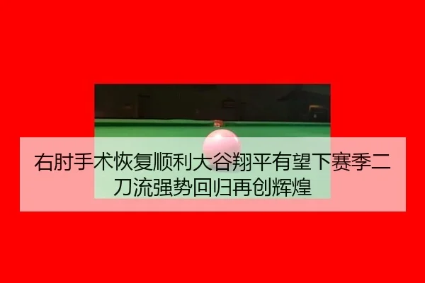 you-zhou-shou-shu-hui-fu-shun-li-da-gu-xiang-ping-you-wang-xia-sai-ji-er-dao-liu-qiang-shi-hui-gui-zai-chuang-hui-huang-2-248.jpg