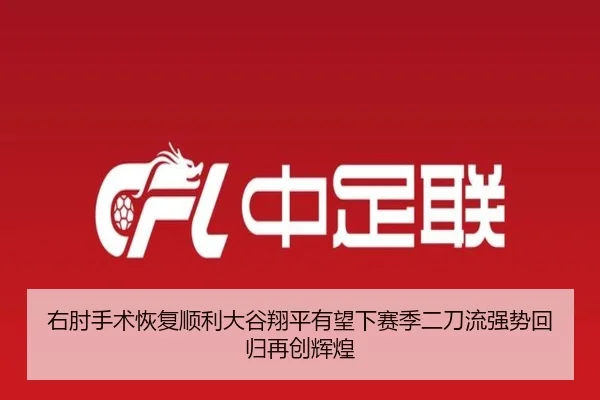 you-zhou-shou-shu-hui-fu-shun-li-da-gu-xiang-ping-you-wang-xia-sai-ji-er-dao-liu-qiang-shi-hui-gui-zai-chuang-hui-huang-3-483.jpg