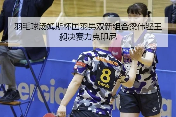 羽毛球汤姆斯杯国羽男双新组合梁伟铿王昶决赛力克印尼