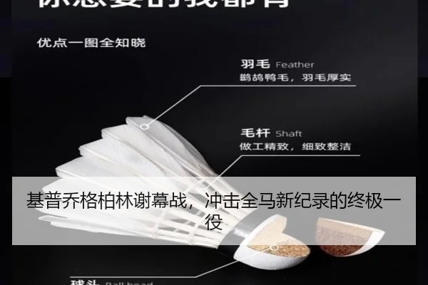 基普乔格柏林谢幕战，冲击全马新纪录的终极一役