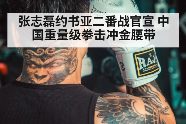 张志磊约书亚二番战官宣 中国重量级拳击冲金腰带